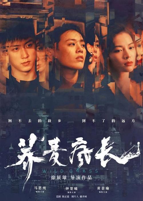 卡拉布里亚大学建筑学文凭证书